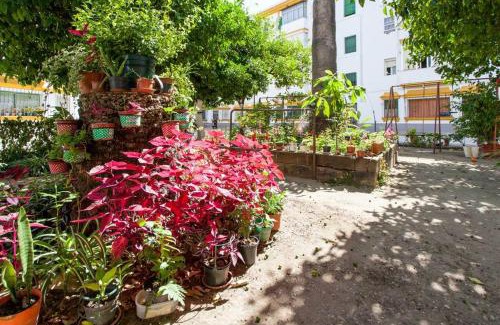 San Bernardo Apartment | Apartamento a los pies del Alcázar
