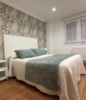 Cangas de Onis Apartment | Apartamento Fana