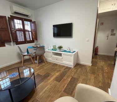 Cordoba Old City Apartment | Apartamento Marques del Villar