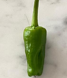 Padron Apartment | Apartamento Padrón Centro P2 by URent