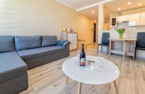 Dzierzoniow Apartment | Apartamenty ALICJA