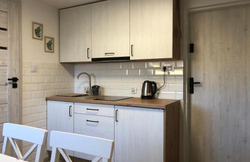Augustow Apartment | Apartamenty Chris