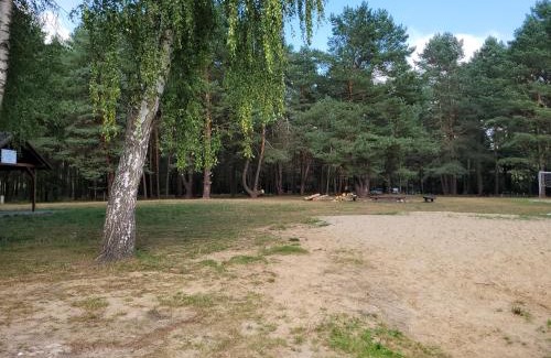 Ostrow Wielki Apartment | Apartamenty Cichosza