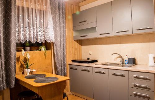 Poronin Apartment | Apartamenty Dwupoziomowe u Ciotki