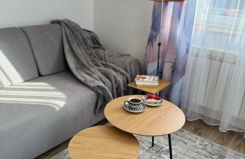 Tylicz Apartment | Apartamenty Kamata
