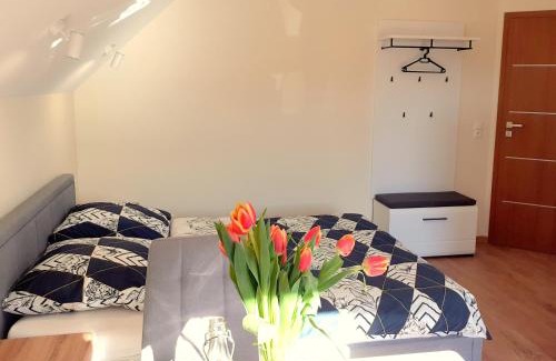 gmina Rutka-Tartak House | Apartamenty Nad Jeziorem
