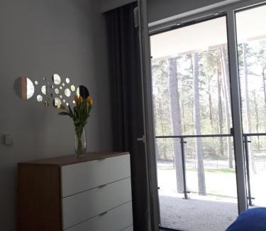 Augustow Apartment | Apartamenty nad Jeziorem Necko