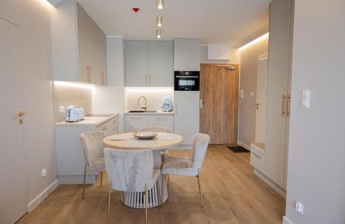 Dzielnica Uzdrowiskowa Apartment | Apartamenty Paradise