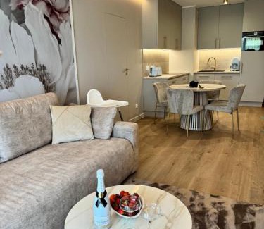 Dzielnica Uzdrowiskowa Apartment | Apartamenty Paradise
