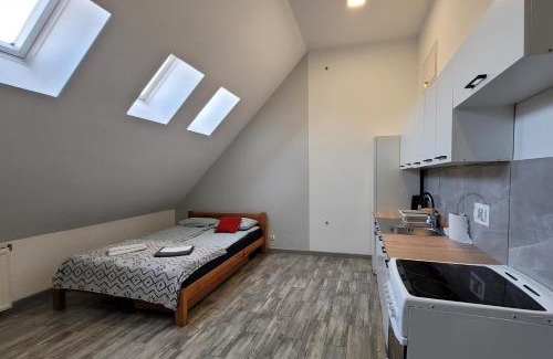 Kwidzyn Apartment | Apartamenty Parkowe nr 8
