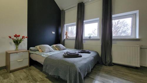 Kwidzyn Apartment | Apartamenty Parkowe nr 9