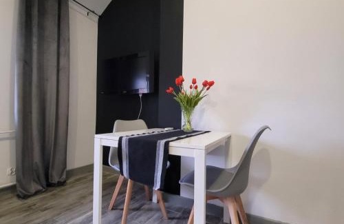 Kwidzyn Apartment | Apartamenty Parkowe nr 9