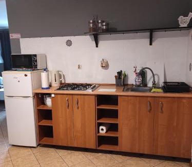 Polanczyk Apartment | Apartamenty pokoje Ela