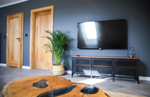Myslakowice Apartment | Apartamenty Skarpa