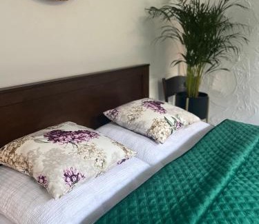 Nowy Sacz Apartment | Apartamenty Stare Miasto Sobieski