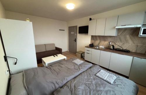 Glogow Apartment | Apartamenty w centrum Głogowa