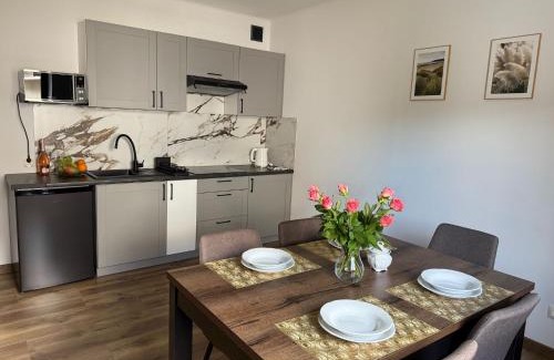Wadowice Apartment | Apartamenty Wadowity- Energylandia Zator