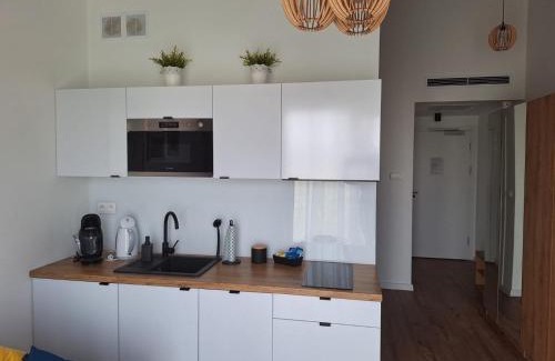 Sarbinowo Apartment | Apartamenty z basenem