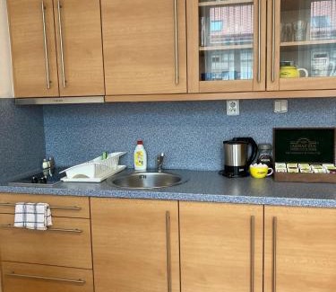 Smichov Apartment | Aparthotel City 5