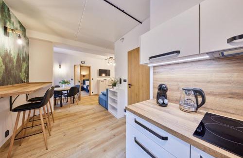Trutnov Apartment | Aparthotel Rýbrcoul