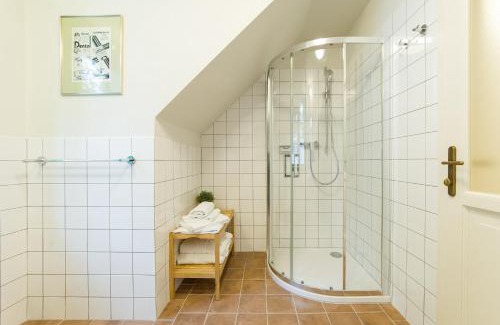 Horni Plana Apartment | Aparthotel & Wellness Knížecí cesta