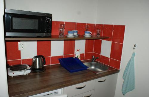 Horni Plana Apartment | Apartmá Lipno