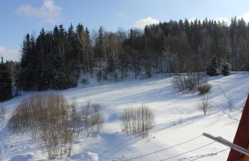 Horni Lipova Apartment | Apartmán Škrovanová