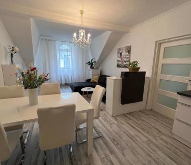 Karlovy Vary Apartment | Apartmán Ambassador