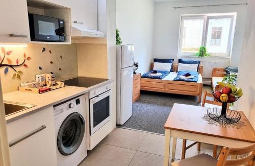 Brno Apartment | Apartmán Bystrc, Brno