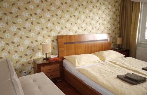 Karlovy Vary Apartment | Apartmán Drahovice
