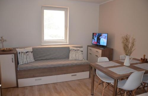 Loucna nad Desnou Apartment | Apartmán Loučná - Špičákovi