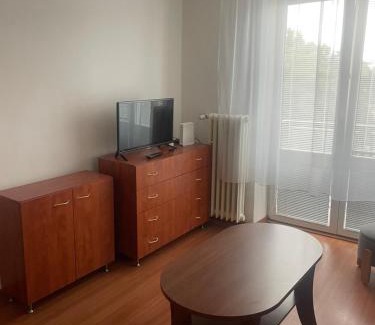 Zilina Apartment | Apartmán na Bulvári