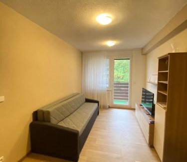 Vsemina Apartment | Apartmán na kraji lesa Všemina