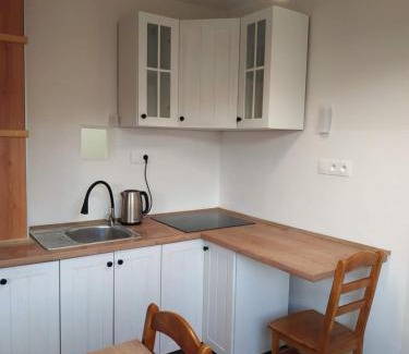 Radvan Apartment | Apartmán One To One