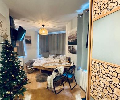 Pec pod Snezkou Apartment | Apartmán Pec 322
