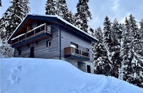 Demanovska Dolina Apartment | Apartmán pod Demänovskou horou