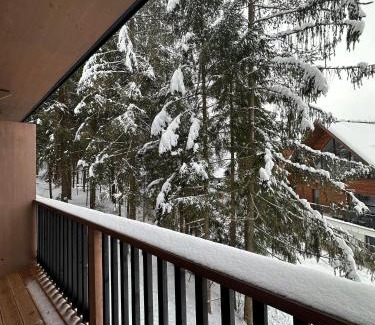 Demanovska Dolina Apartment | Apartmán Pod Smrekom Demänovská Dolina