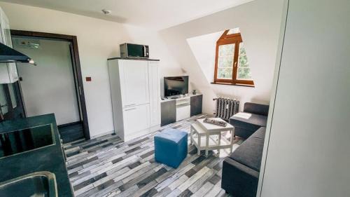 Rokytnice nad Jizerou Apartment | Apartmán Rezidence Rokytnice