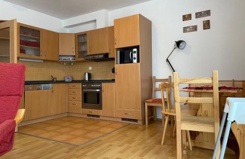 Lipno nad Vltavou Apartment | Apartmán Riviera J1/1