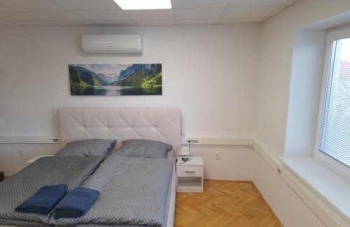 Topolcany House | Apartmán Stummerova