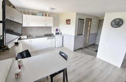 Velky Slavkov House | Apartmán Theo
