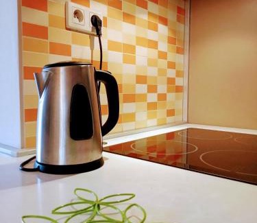 Bila Tremesna Apartment | Apartmán U Zebry