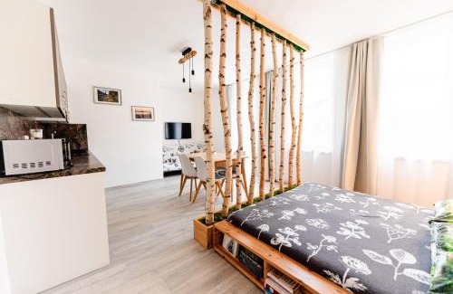 Zelezna Ruda Apartment | Apartmán v centru Železné Rudy se zahrádkou