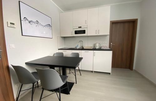 Loucna nad Desnou Apartment | Apartmán v Koutech