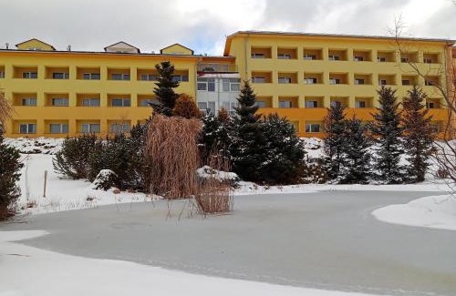 Frymburk Apartment | Apartmán Wellness hotel Frymburk
