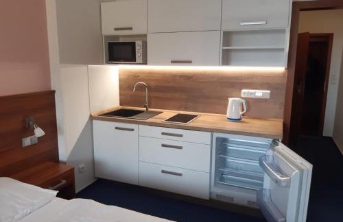 Frymburk Apartment | Apartmán Wellness hotel Frymburk