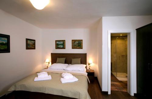 Trebon Hotel | Apartmány Šupina