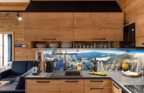 Spindleruv Mlyn Apartment | Apartmány BARTH Holiday - Špindlerův Mlýn