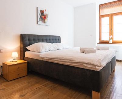 Trebon Apartment | Apartmány Elzet