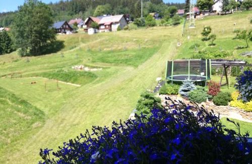 Rokytnice nad Jizerou Apartment | Apartmány Ester